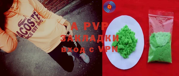 ПСИЛОЦИБИНОВЫЕ ГРИБЫ Бородино