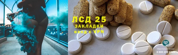 ПСИЛОЦИБИНОВЫЕ ГРИБЫ Бородино