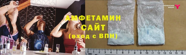 ПСИЛОЦИБИНОВЫЕ ГРИБЫ Бородино