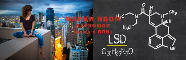 ПСИЛОЦИБИНОВЫЕ ГРИБЫ Бородино