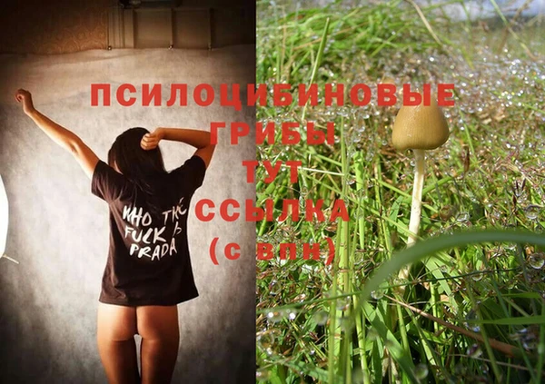 ПСИЛОЦИБИНОВЫЕ ГРИБЫ Бородино