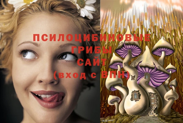 хмурый Бронницы